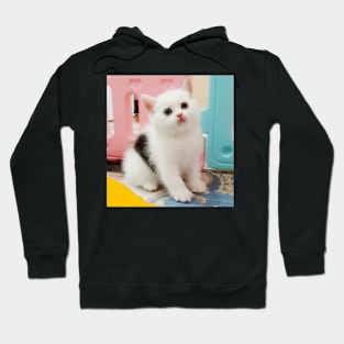 3 color cute cats Hoodie